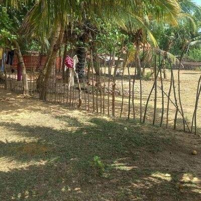 6 plot of land and house for sale at 1.5 km opposite library in Nunavail Jaffna