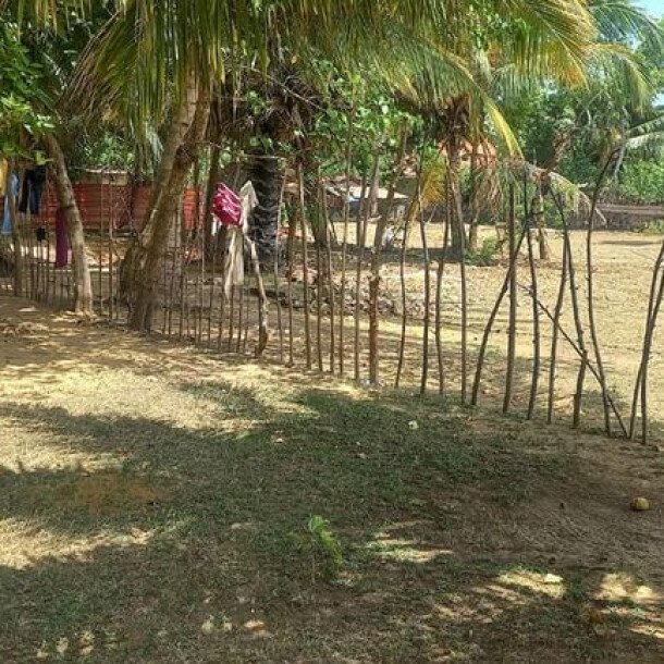 6 plot of land and house for sale at 1.5 km opposite library in Nunavail Jaffna-9