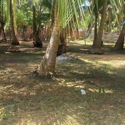 6 plot of land and house for sale at 1.5 km opposite library in Nunavail Jaffna