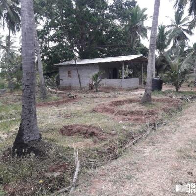 3 Acres Of Land Available For Sale In Pavatamadu Puttalam