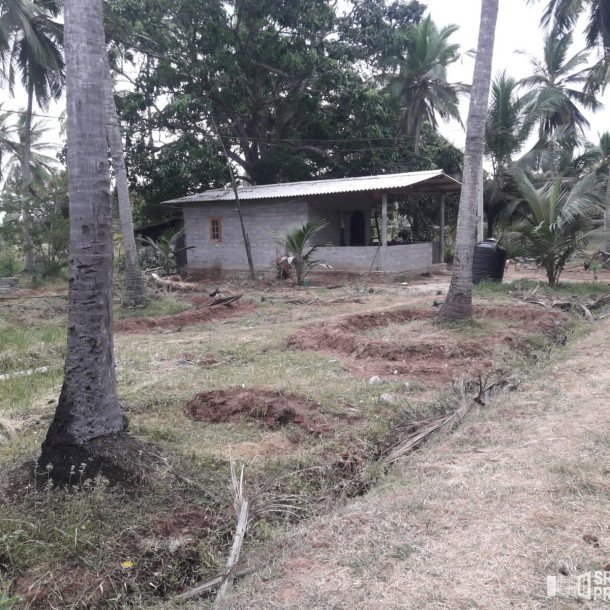 3 Acres Of Land Available For Sale In Pavatamadu Puttalam-1