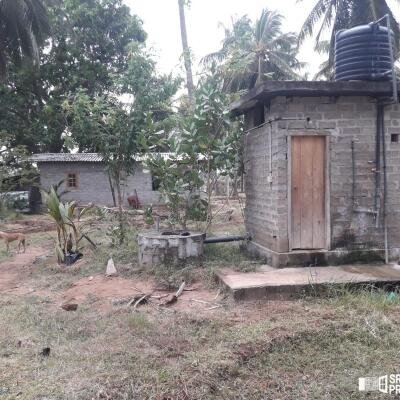 3 Acres Of Land Available For Sale In Pavatamadu Puttalam
