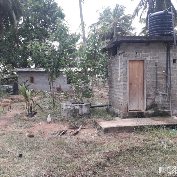 3 Acres Of Land Available For Sale In Pavatamadu Puttalam-4