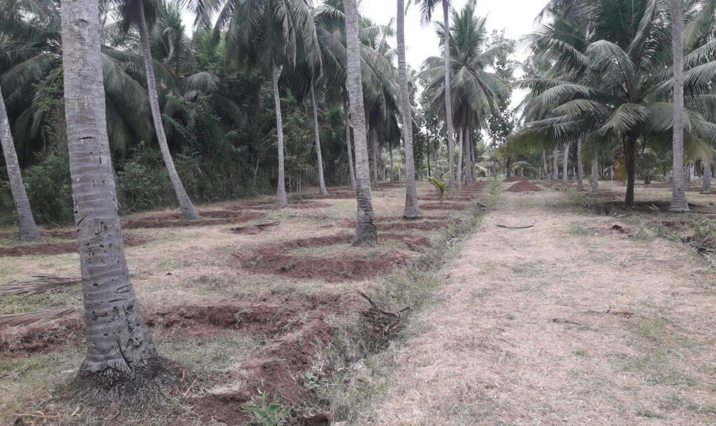 3 Acres Of Land Available For Sale In Pavatamadu Puttalam-5