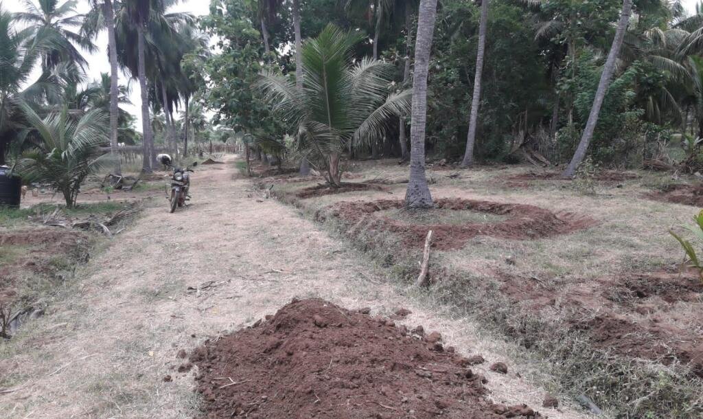 3 Acres Of Land Available For Sale In Pavatamadu Puttalam-6