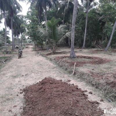 3 Acres Of Land Available For Sale In Pavatamadu Puttalam