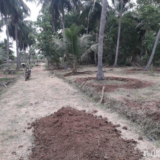 3 Acres Of Land Available For Sale In Pavatamadu Puttalam-6