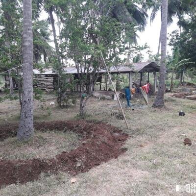 3 Acres Of Land Available For Sale In Pavatamadu Puttalam