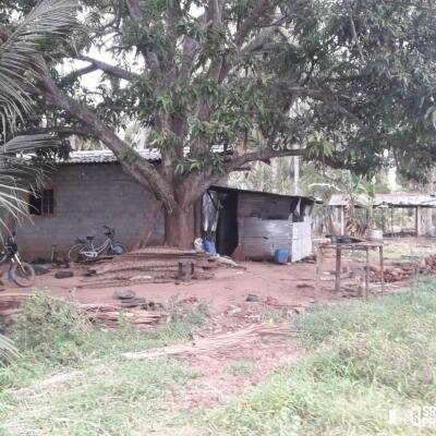 3 Acres Of Land Available For Sale In Pavatamadu Puttalam