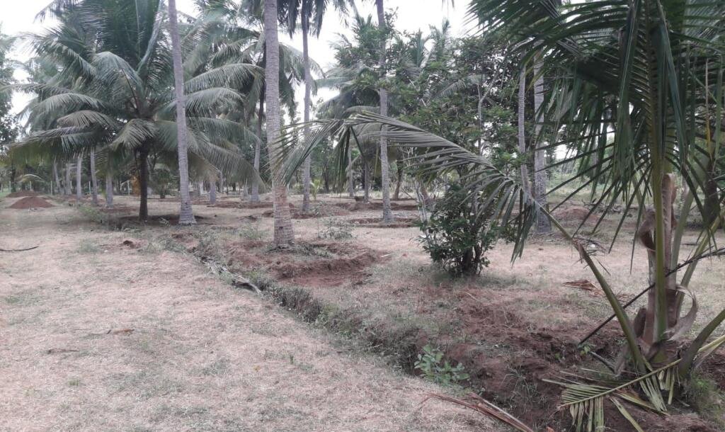 3 Acres Of Land Available For Sale In Pavatamadu Puttalam-12