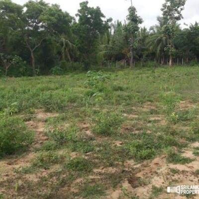 Land For Sale In Puttalam-1