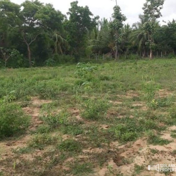 Land For Sale In Puttalam-1