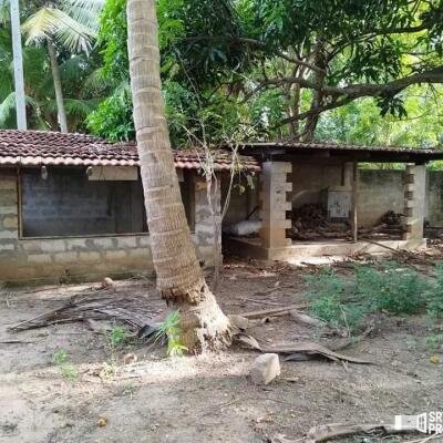 3 bedroom house for sale situated on 4 acres of land 1 km from Suzhipuram Post Office.