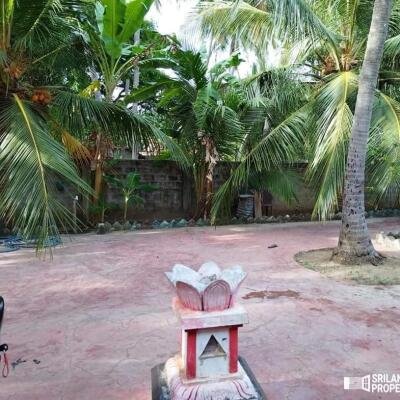 3 bedroom house for sale situated on 4 acres of land 1 km from Suzhipuram Post Office.