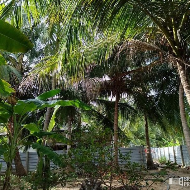 3 bedroom house for sale situated on 4 acres of land 1 km from Suzhipuram Post Office.-8