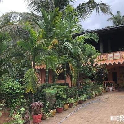 4000squarefeet house 5 rooms downstairs New House with 11 Area plot in Vavuniya Maharambaikulam