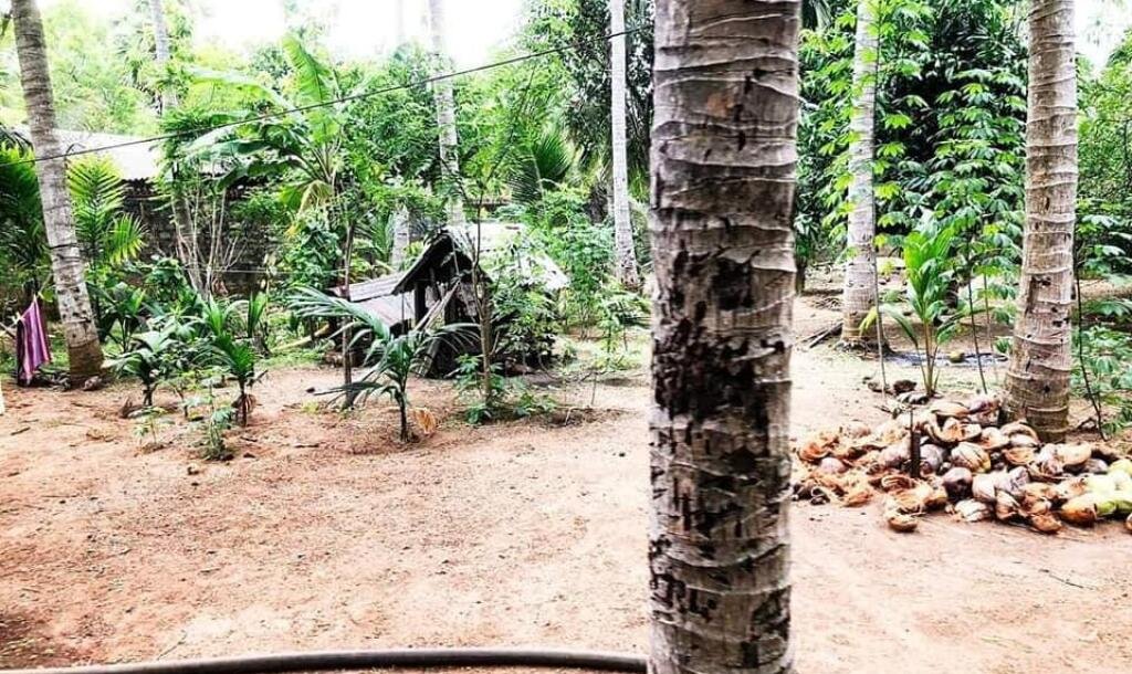 4000squarefeet house 5 rooms downstairs New House with 11 Area plot in Vavuniya Maharambaikulam-9