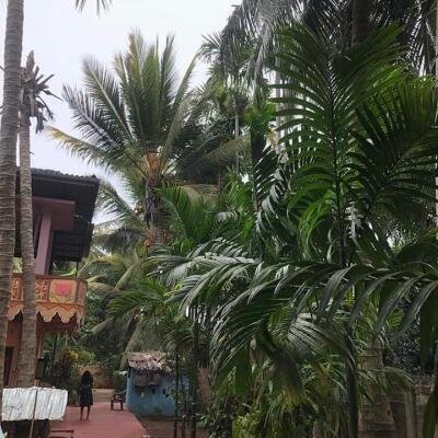 4000squarefeet house 5 rooms downstairs New House with 11 Area plot in Vavuniya Maharambaikulam