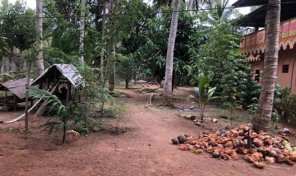 4000squarefeet house 5 rooms downstairs New House with 11 Area plot in Vavuniya Maharambaikulam-8