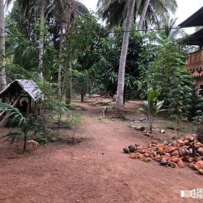 4000squarefeet house 5 rooms downstairs New House with 11 Area plot in Vavuniya Maharambaikulam