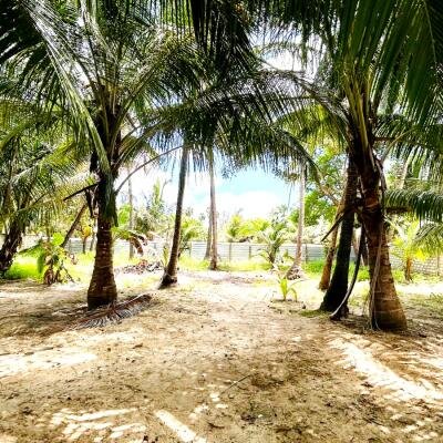 2nd house for sale from Navatkuli main road Jaffna