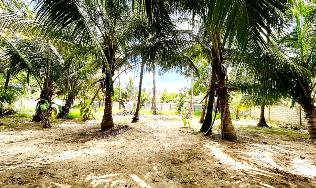 2nd house for sale from Navatkuli main road Jaffna-2